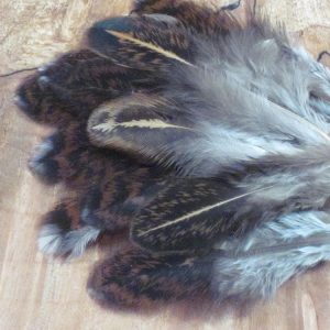 Speckled Brown Hen Backs